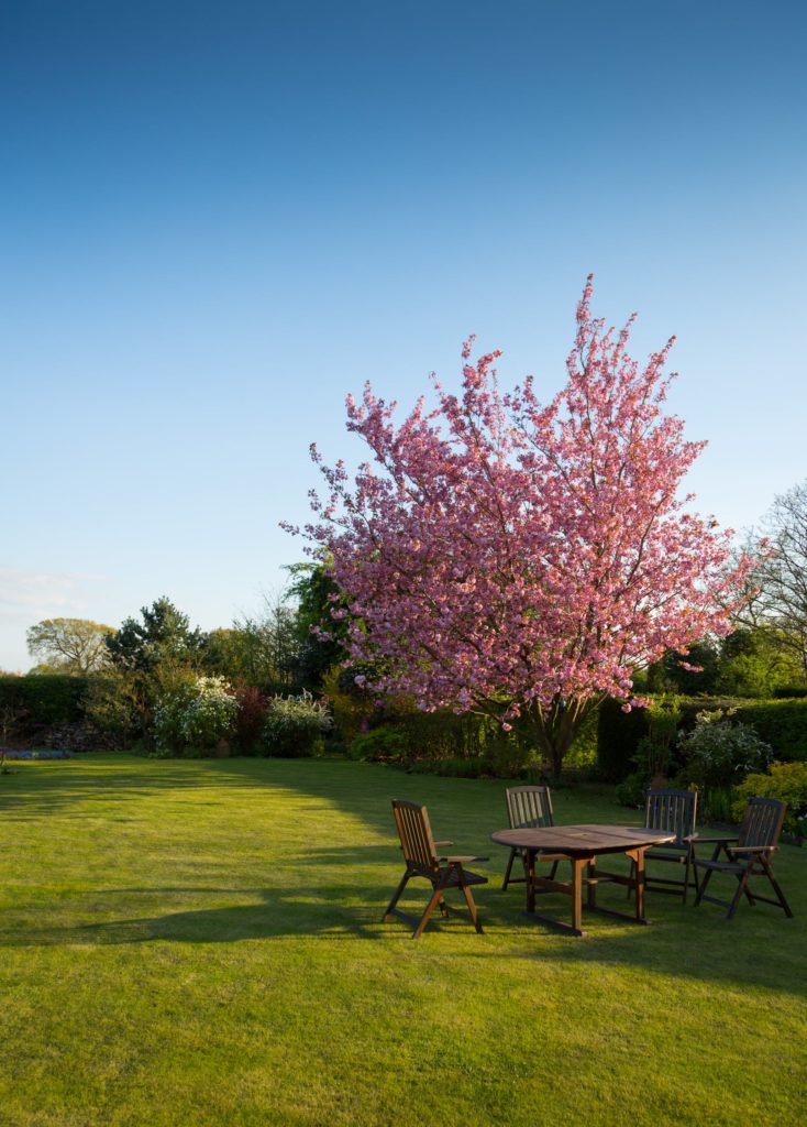 gardener-lawn-tree gardener-lawn-tree
